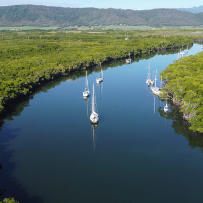 Abc Snorkel Charters Port Douglas rain forest to reef