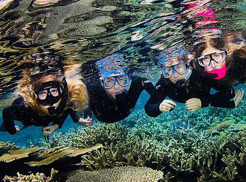 The Best Port Douglas Reef Trips